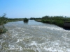 Parc Natural del Delta de l’Ebre – Baix Ebre