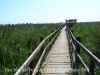 Parc Natural del Delta de l’Ebre – Baix Ebre