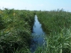 Parc Natural del Delta de l’Ebre – Baix Ebre