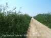 Parc Natural del Delta de l’Ebre – Baix Ebre