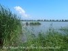 Parc Natural del Delta de l’Ebre – Baix Ebre