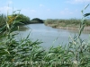 Parc Natural del Delta de l’Ebre – Baix Ebre