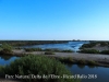 Parc Natural del Delta de l’Ebre – Baix Ebre