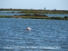 Parc Natural del Delta de l’Ebre – Baix Ebre