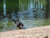 Parc Samà – Cambrils