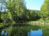 Pont de Buida-sacs – Clariana de Cardener - Entorn