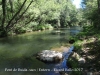 Pont de Buida-sacs – Clariana de Cardener - Entorn