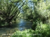 Pont de Buida-sacs – Clariana de Cardener - Entorn