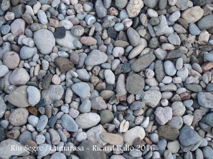 Llit de pedres del riu Segre al seu pas per Camarasa