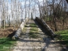 Pont de Can Prat – Sant Miquel de Campmajor