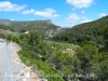 Vistes des del camí d'accés al Pont de Cavaloca - Cabacés