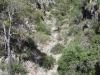 Vista del camí d'accés al Pont de Cavaloca - Cabacés