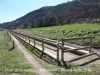 Pont de Conangle - Balsareny