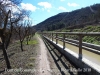 Pont de Conangle - Balsareny