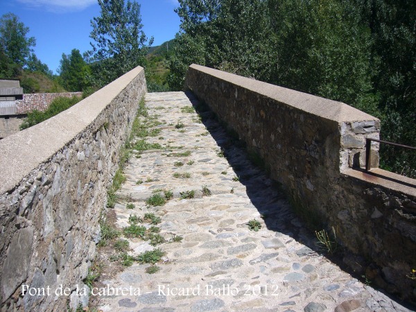 Pont de la Cabreta - Campdevànol
