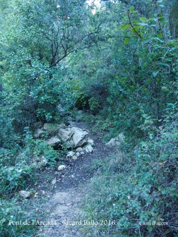 Camí al Pont de l’Arcada – Olesa de Bonesvalls