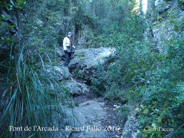 Camí al Pont de l’Arcada – Olesa de Bonesvalls