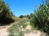 Pont de les Femades – Pont d’Armentera