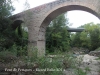 Puig-reig - Pont de Periques, creuant el Llobregat