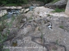 Puig-reig - Pont de Periques, creuant el Llobregat