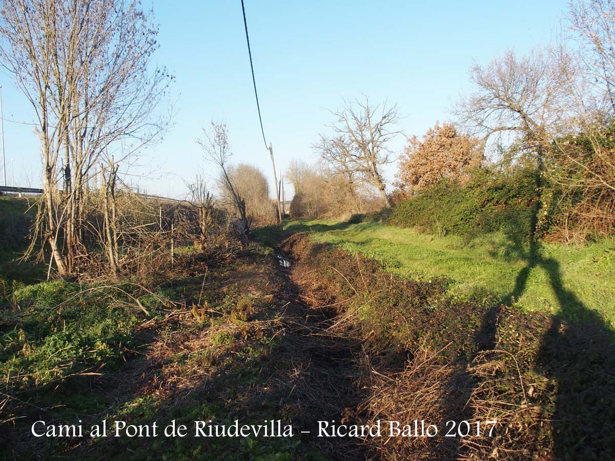Pont de Riudevilla – Riudellots de la Selva - Heus aquí el tram de camí que fem a peu: a l'esquerra discorre el llit de la riera. Per la dreta, entapissat d'herba, el tram de camí que trepitgem