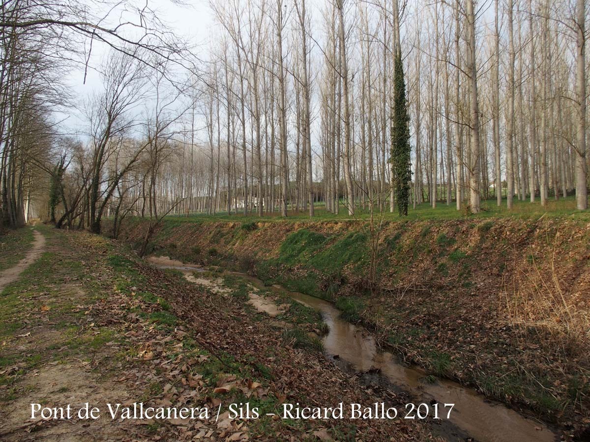 Pont de Vallcanera – Sils