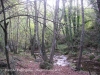 Pont de Vallfogona – Vallfogona de Ripollès