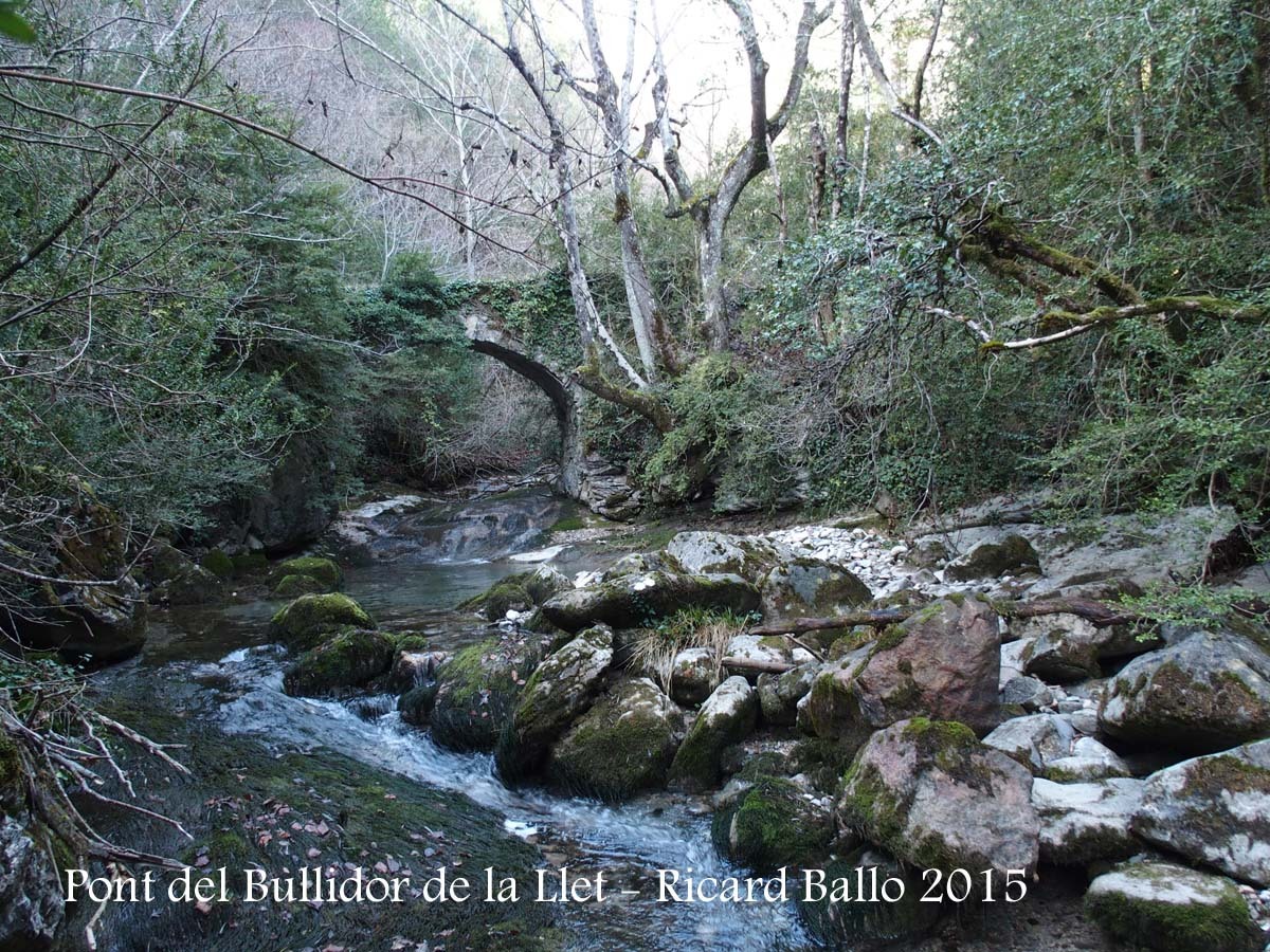 Pont del Bullidor de la Llet – Bagà