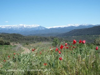 Camí al Pont del Molí de Canet – Clariana de Cardener