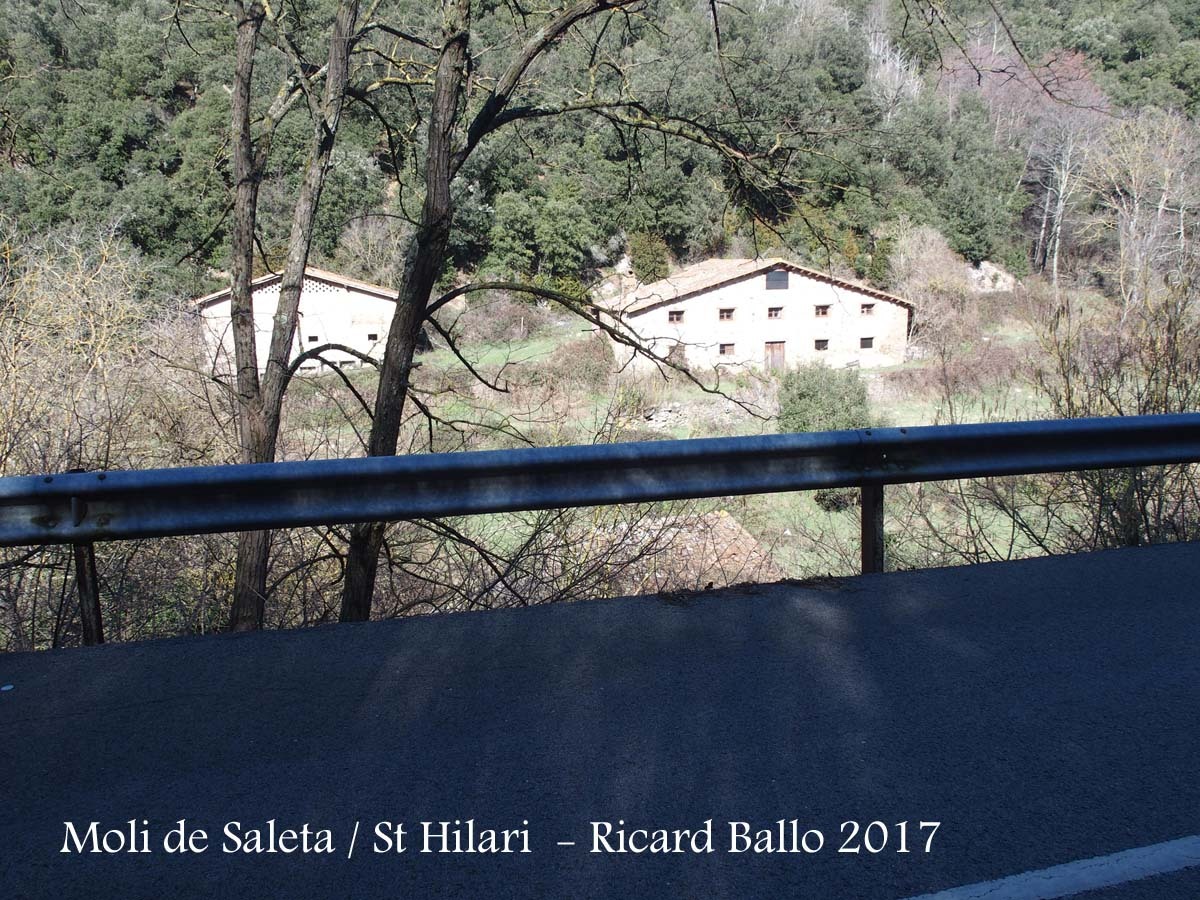 Sant Hilari Sacalm - Vista del Moli de Saleta des del voral de la carretera