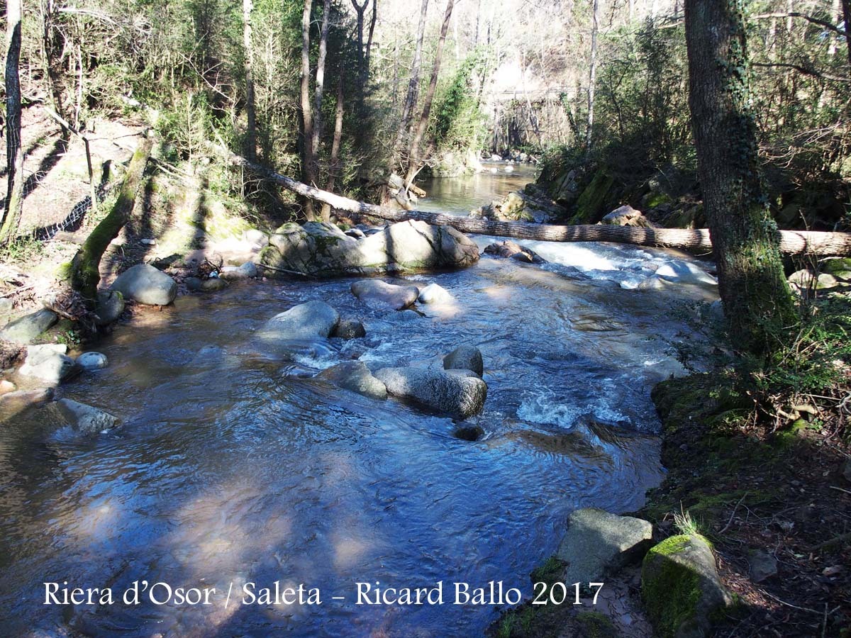 Riera d'Osor a l'alçada del Moli de Saleta - Sant Hilari Sacalm