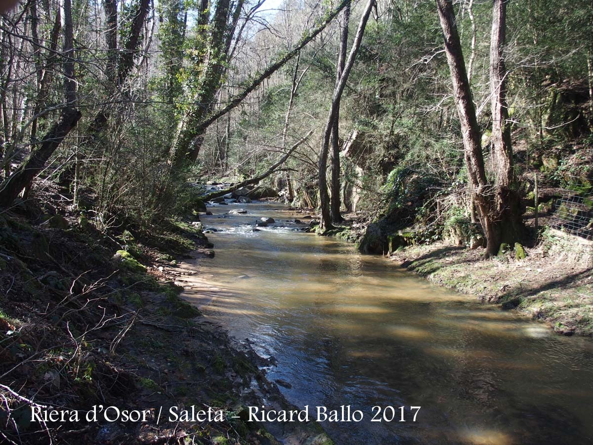 Riera d'Osor a l'alçada del Moli de Saleta - Sant Hilari Sacalm