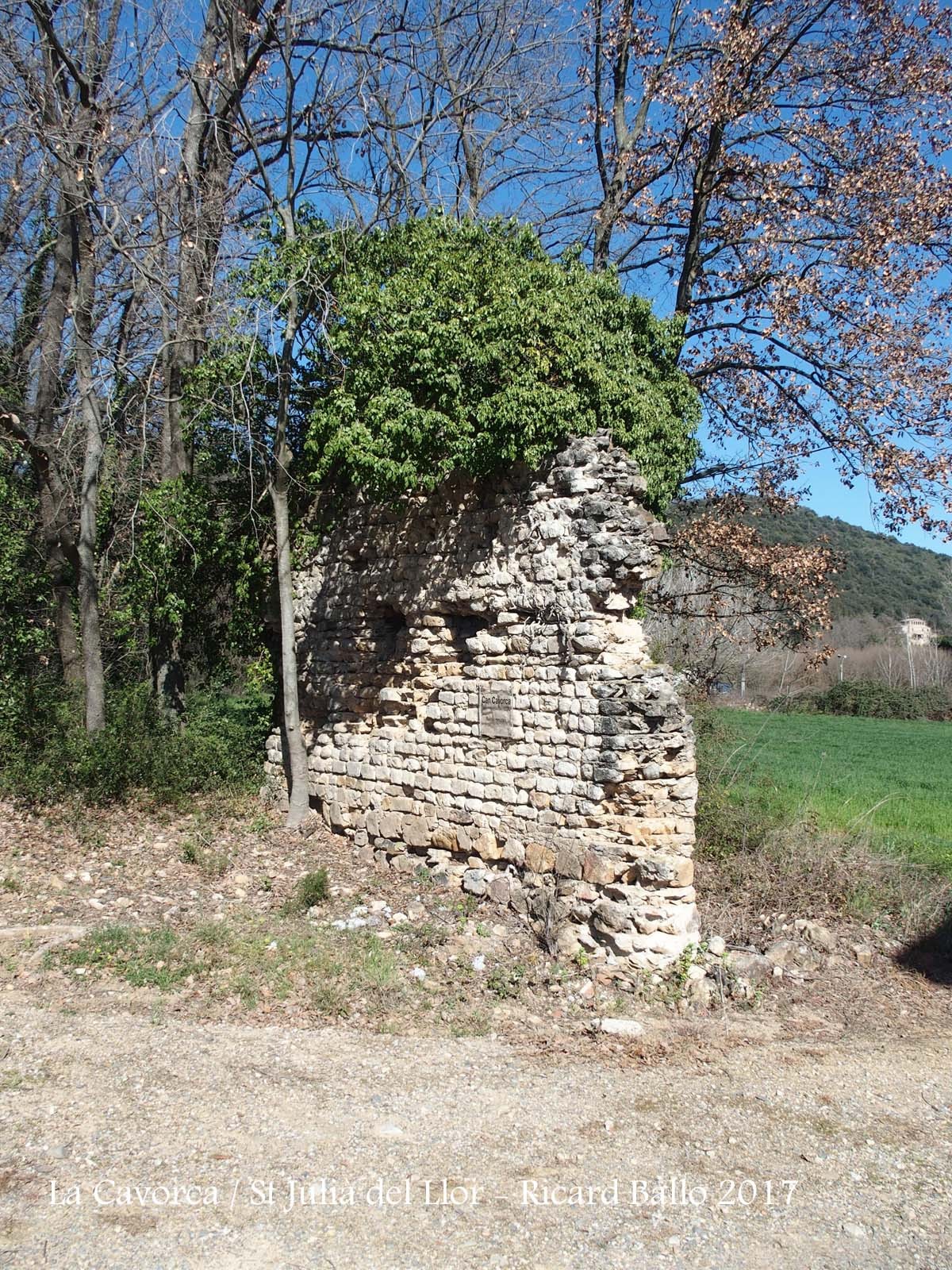 Anglès / La Cavorca