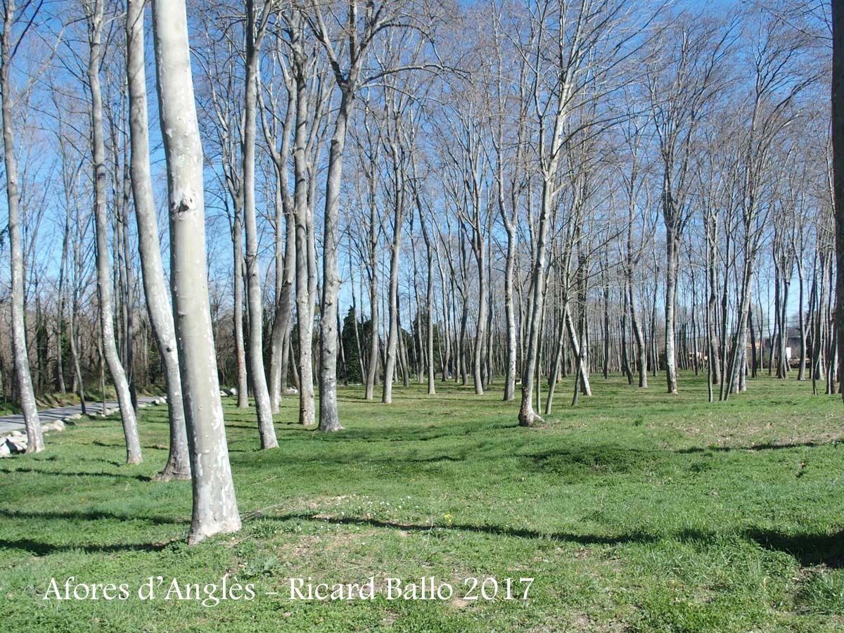 Afores d\'Anglès