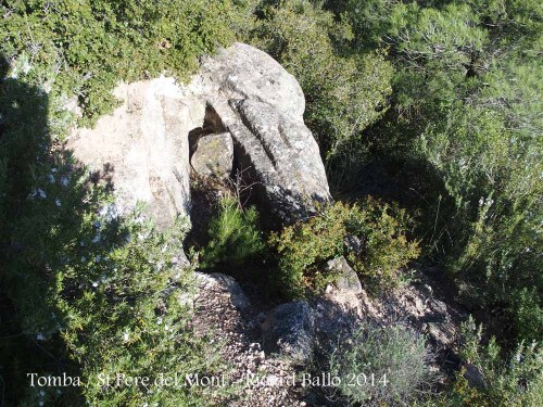 Sant Pere del Mont - Tomba antropomorfa.