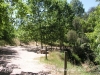 Sant Pere de Riudebitlles - Pont Nou - Aqüeducte / Zona de pícnic.