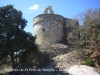 Sant Pere de Savella.