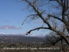 Vistes des de l'ermita de Sant Salvador del coll de l'Aguda - Torà