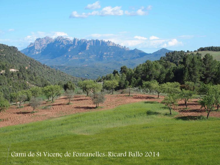 Vistes des del camí que va a Sant Vicenç de Fontanelles – Castellfollit del Boix