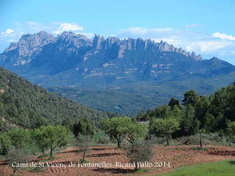 Vistes des del camí que va a Sant Vicenç de Fontanelles – Castellfollit del Boix