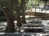 Santuari de Santa Marina – Pratdip - Entorn