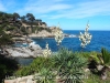 Camins de ronda de Lloret de Mar