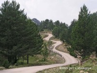 Berguedà - Detall d\'un tram de la carretera que va des del poble abandonat de Peguera, fins a l\'estació d\'esquí dels Rasos de Peguera