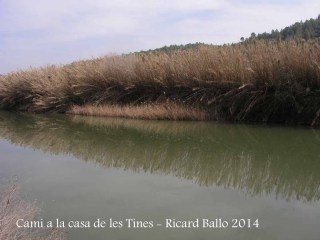 Camí a les Tines de la casa de les tines - Talamanca / Riu Llobregat