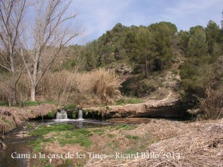 Camí a les Tines de la casa de les tines - Talamanca