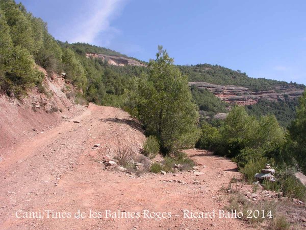 Camí a les Tines de les Balmes Roges - Vegi's la fita a la dreta de la fotografia.