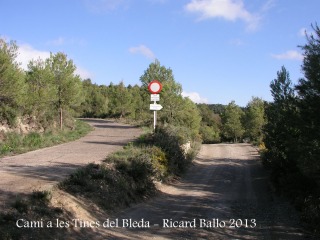 Camí a les Tines del Bleda i del Tosques