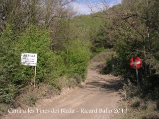 Camí a les Tines del Bleda i del Tosques