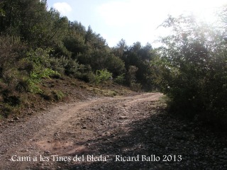 Camí a les Tines del Bleda i del Tosques