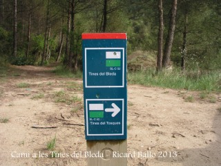 Camí a les Tines del Bleda i del Tosques